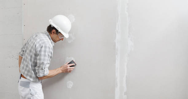 Best Acoustic or Soundproof Drywall Installation  in Imperial Beach, CA